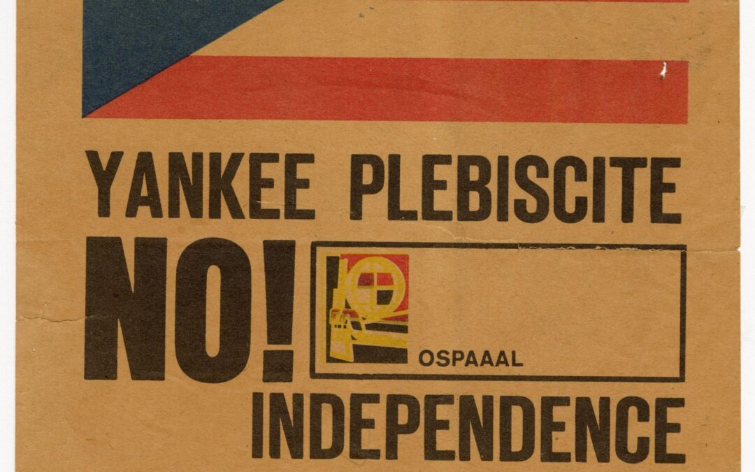 Processing the Political Posters Collection