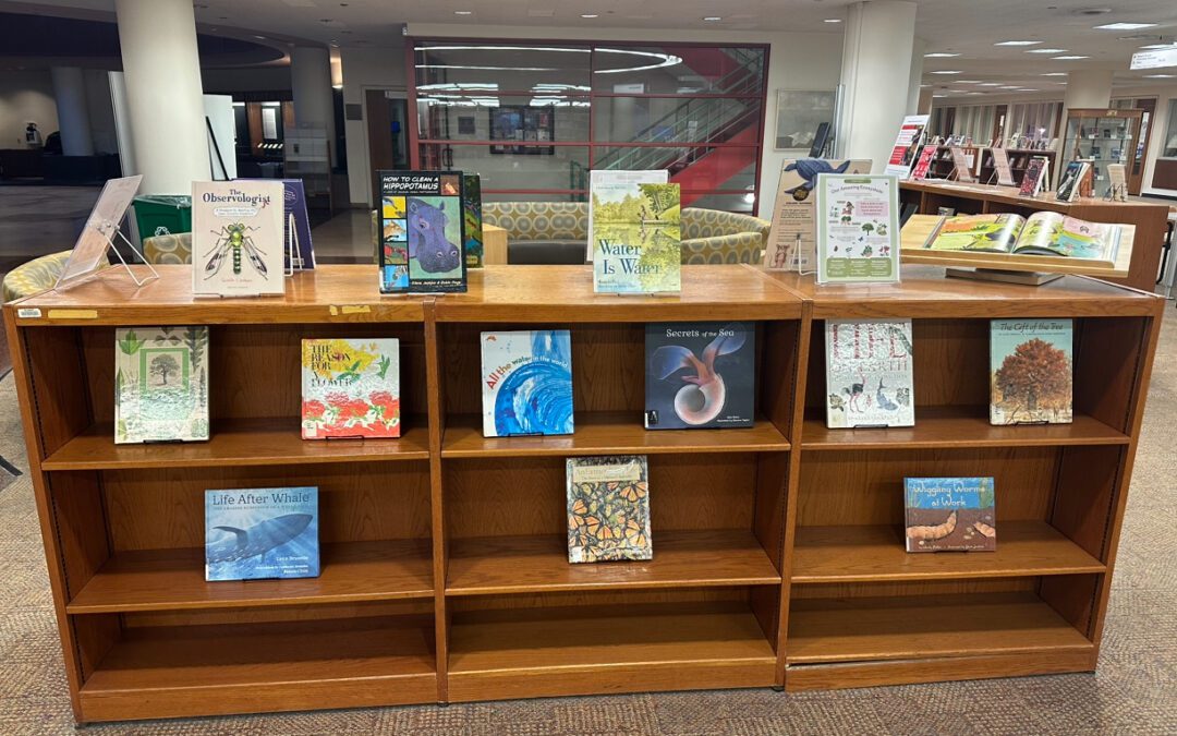 Our Amazing Ecosystems!