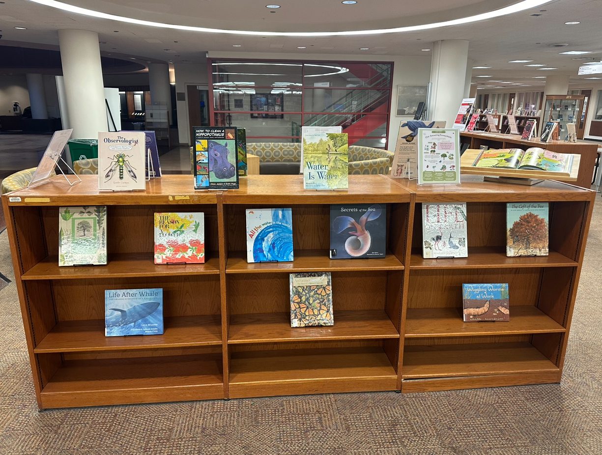Our Amazing Ecosystems! - Library
