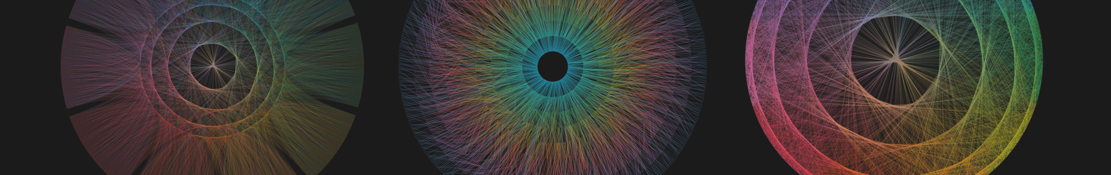 A colorful round data visualization