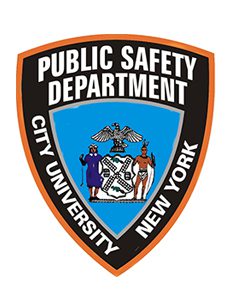 Public Safety Badge which is dark blue with yellow trim.