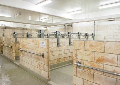 Fitzgerald Gym - Showers