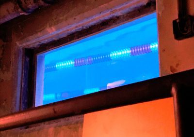 Underground Pool Window Close up